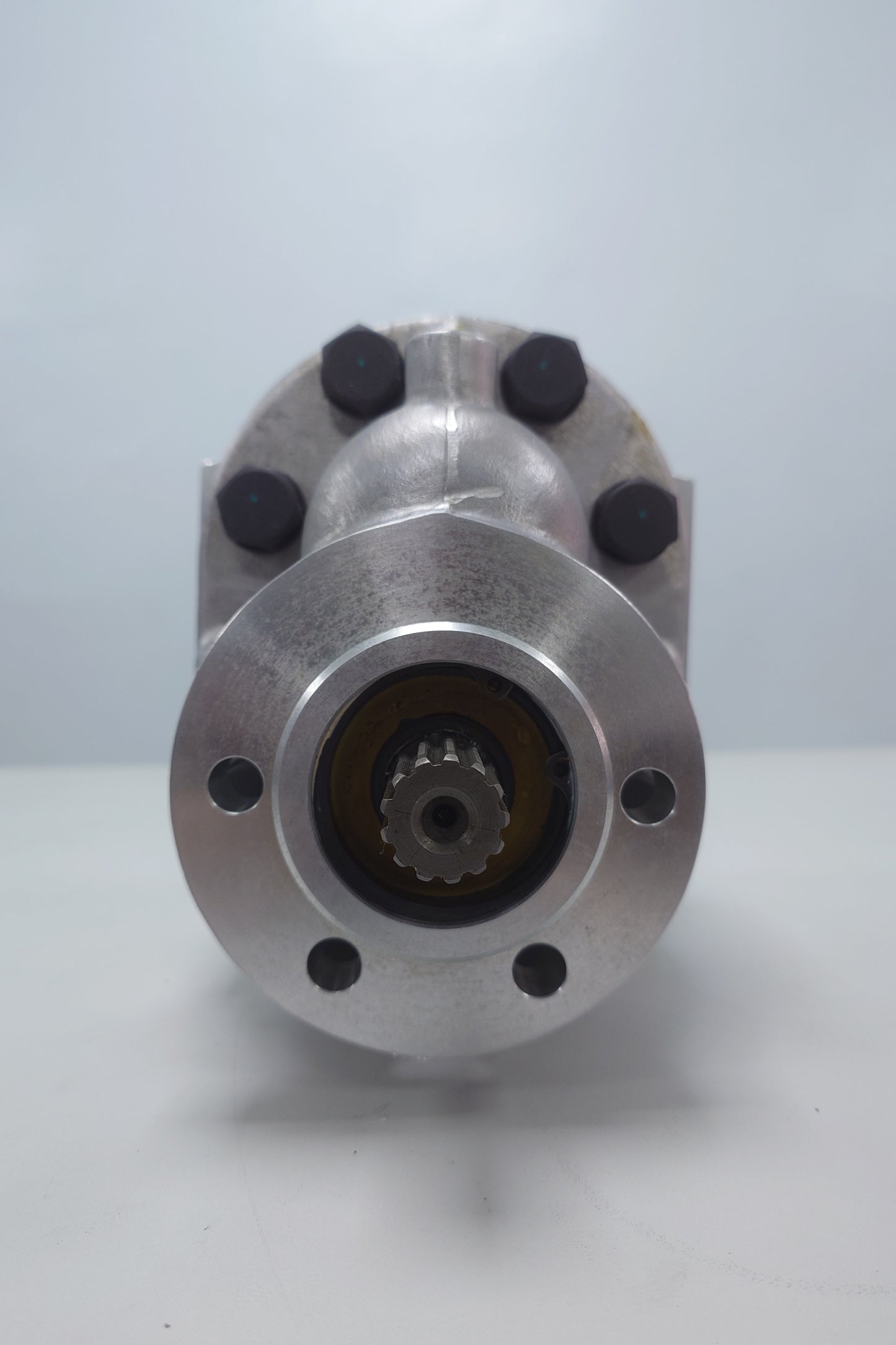 (STK00022 - Gear Pump) P20350A