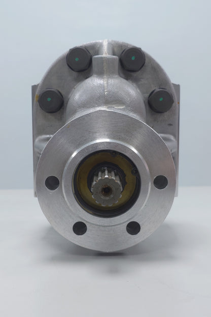 (STK00021 - Gear Pump) P20250AD