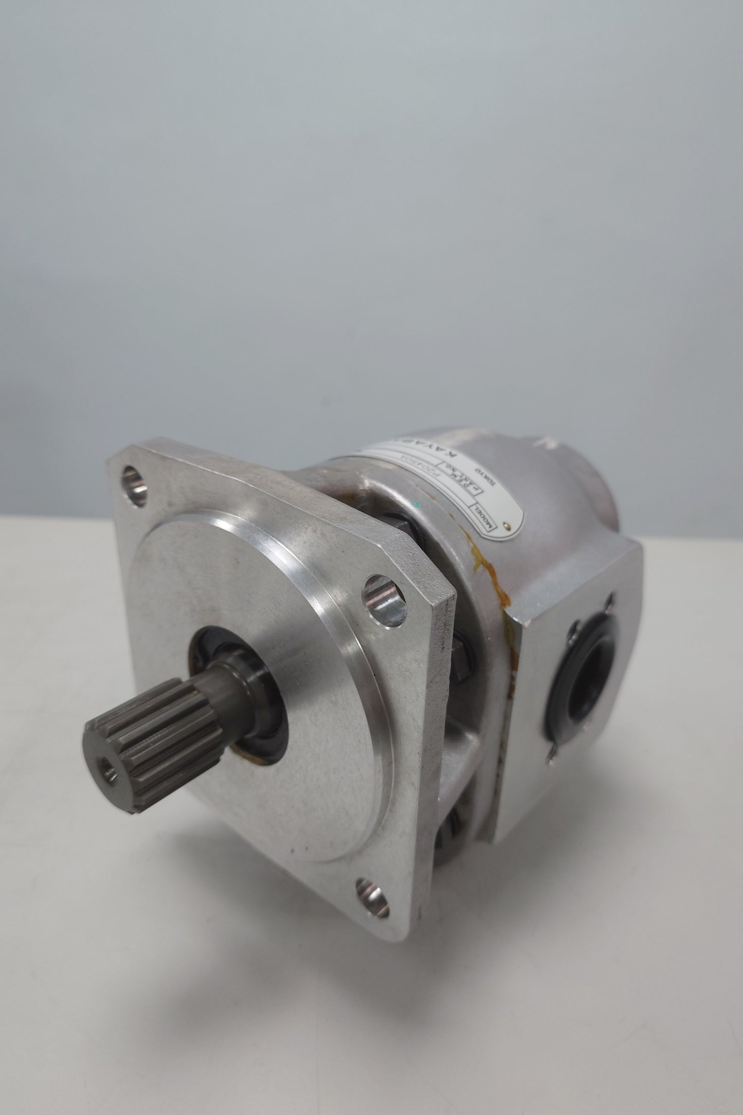 (STK00025 - Gear Pump) P20450A