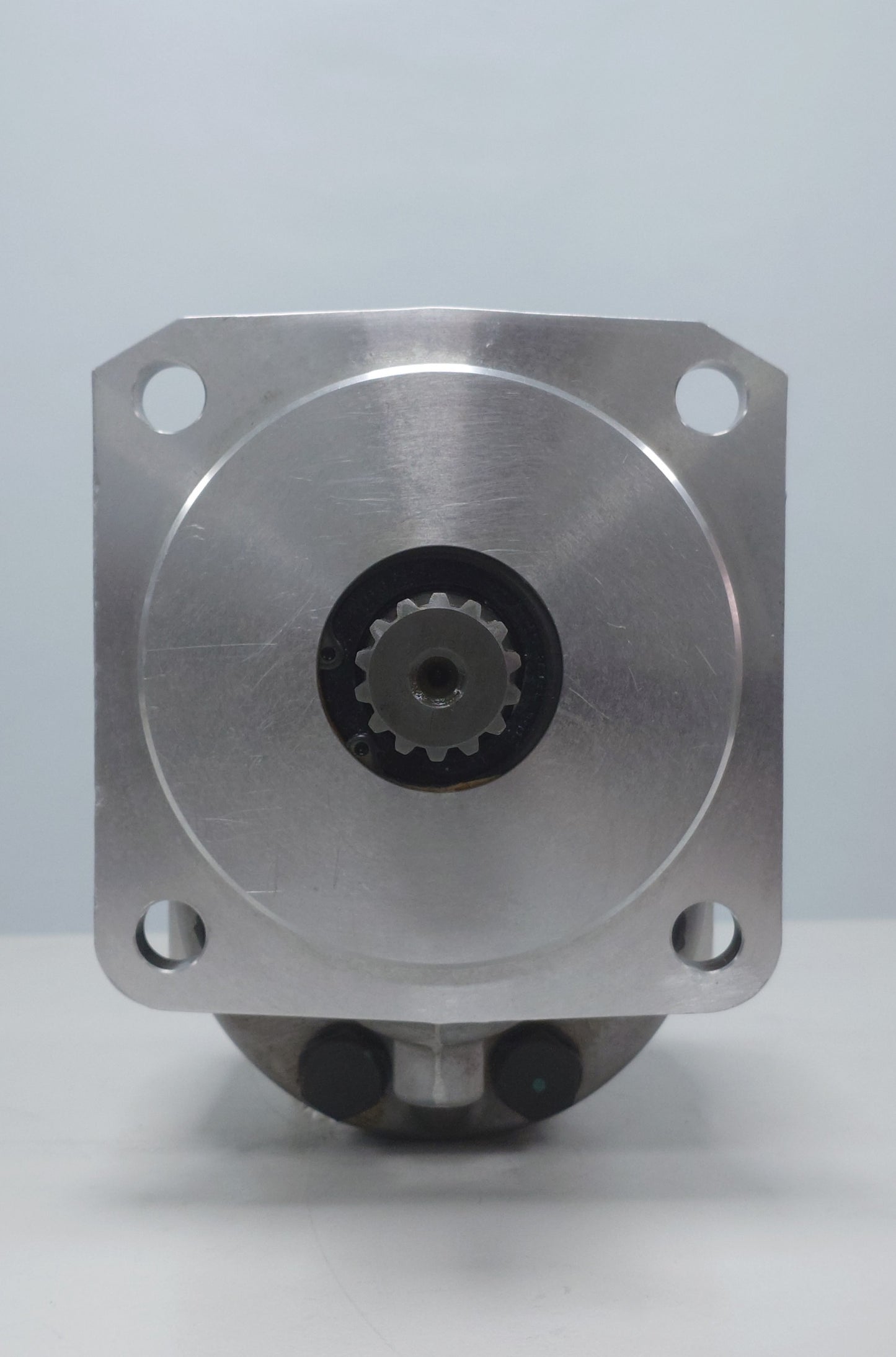 (STK00025 - Gear Pump) P20450A