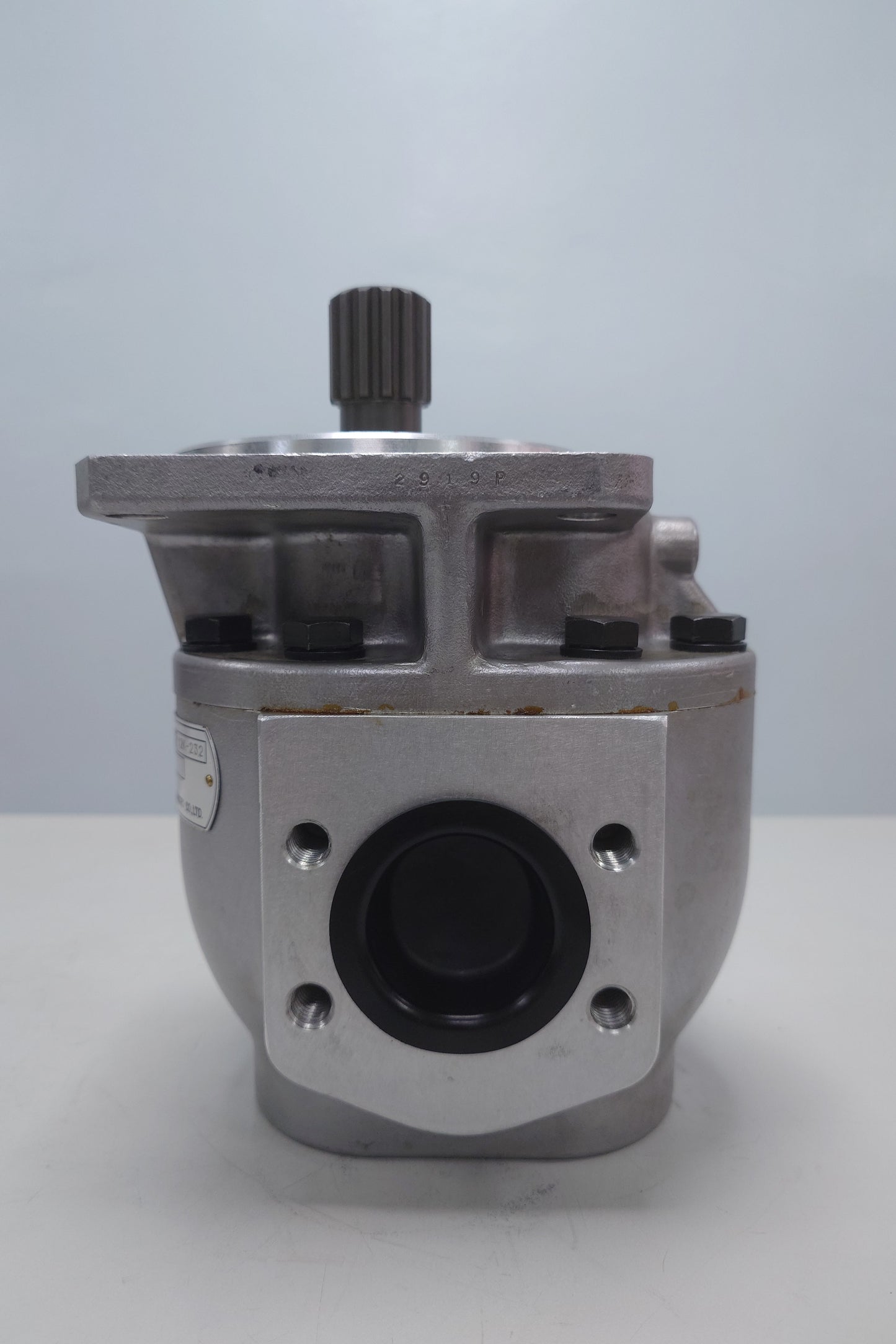 (STK00025 - Gear Pump) P20450A